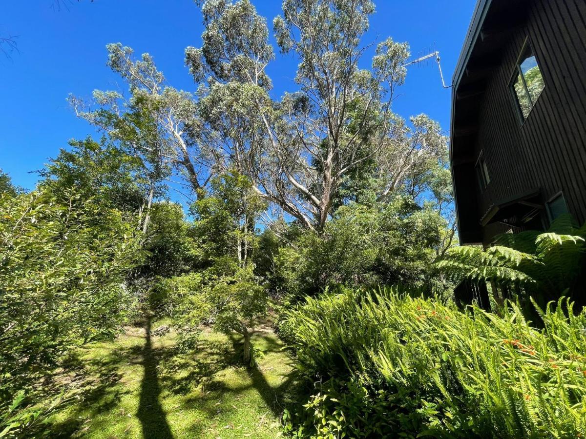 Sublime Cedar Lodge Leura Dış mekan fotoğraf