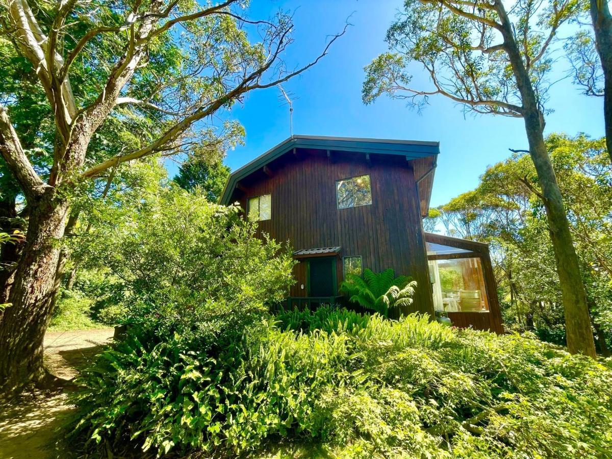 Sublime Cedar Lodge Leura Dış mekan fotoğraf